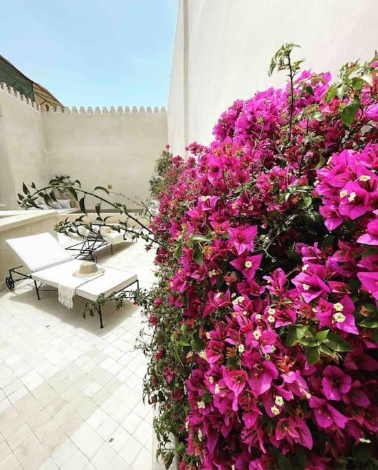 מרקש Riad Vivre - Design Boutique Riad In Marrakech מראה חיצוני תמונה